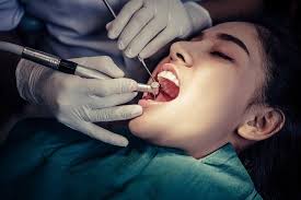 Bachelor of Dental Surgery (BDS)